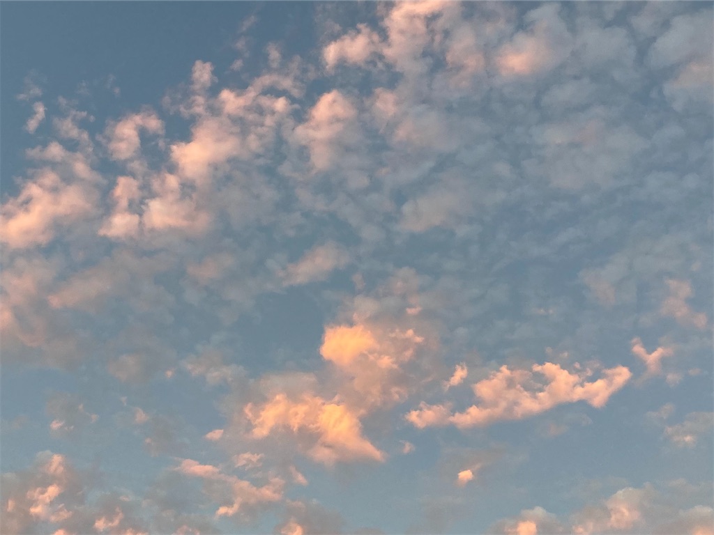 f:id:harehappy:20220905011328j:image f:id:harehappy:20220905011328j:image