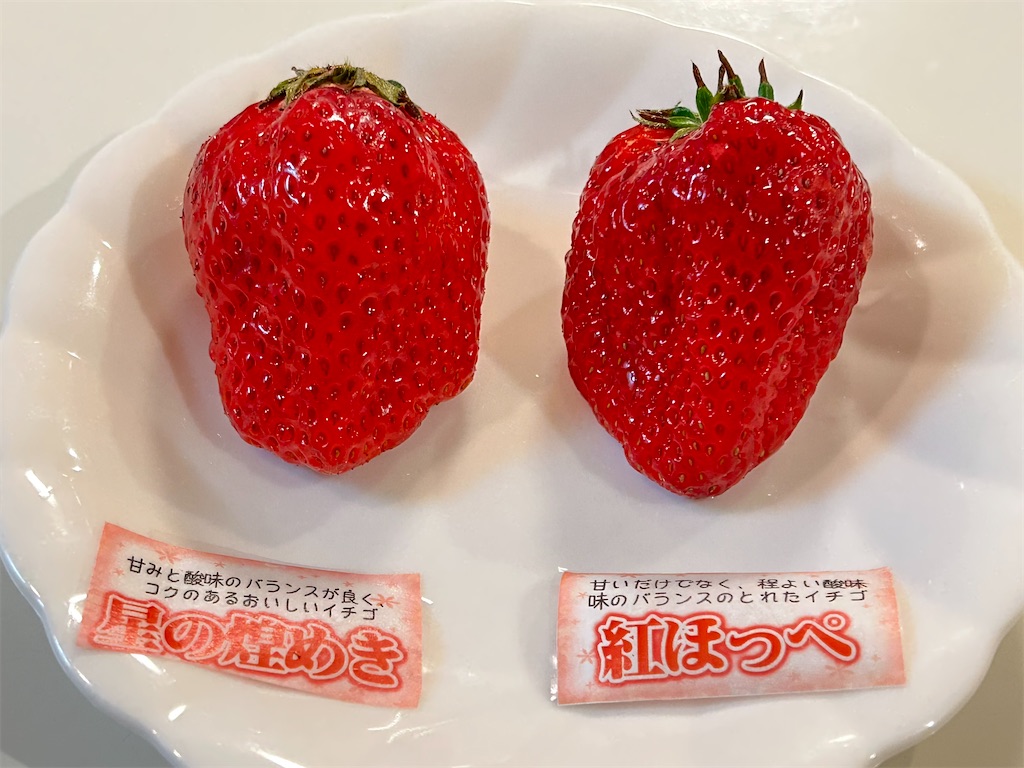 いちごメロン♪ページです。 ゼリエース メロン味 ( 92g×2セット )/ : 爽快ドラッグ - 通販