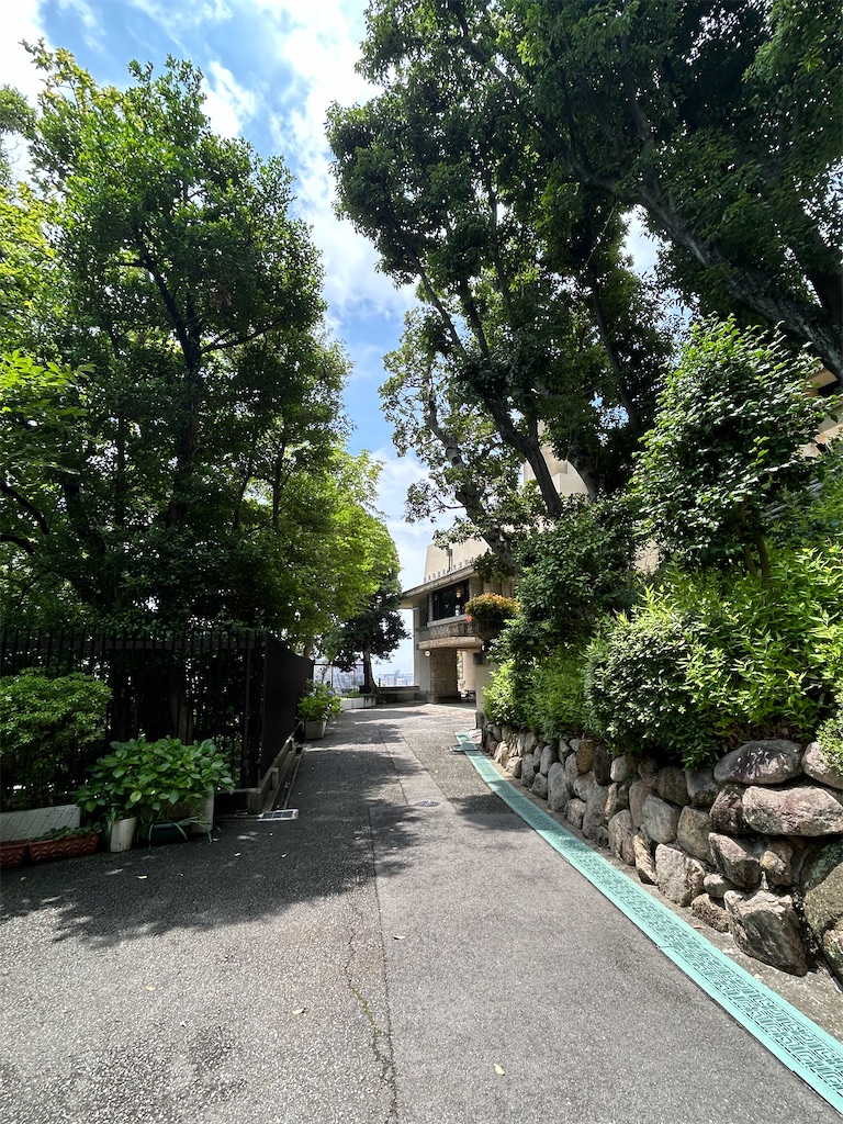 f:id:harehappy:20240705140125j:image f:id:harehappy:20240705140125j:image