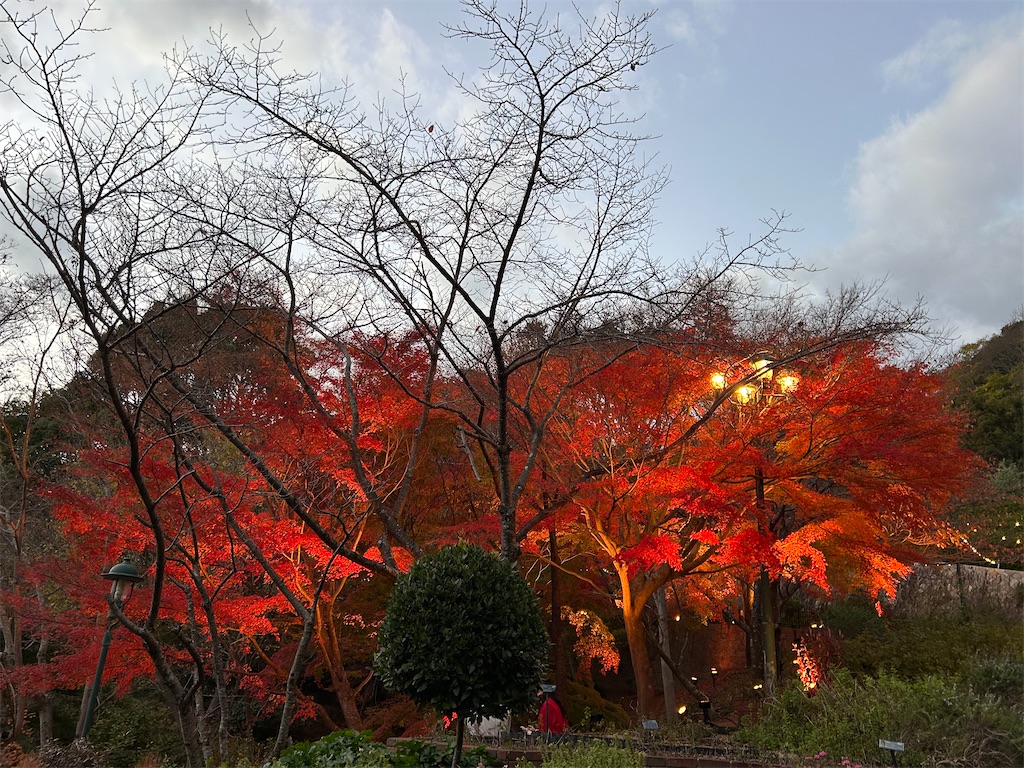 f:id:harehappy:20251204015357j:image