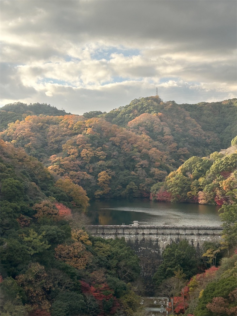 f:id:harehappy:20251204020109j:image