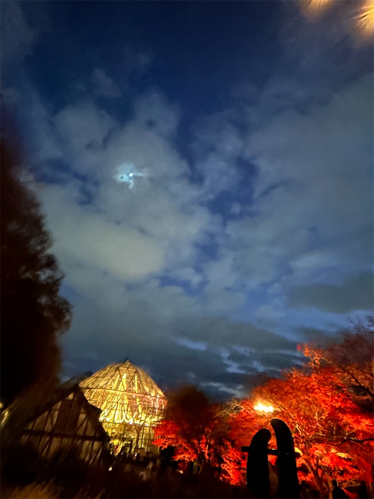 f:id:harehappy:20251204020116j:image