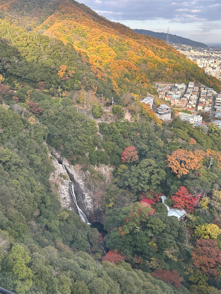 f:id:harehappy:20251204020150j:image