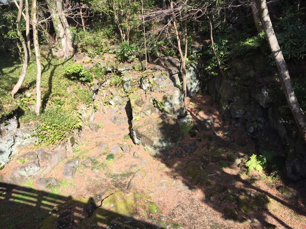 f:id:harei:20190118105949j:plain f:id:harei:20190118105949j:plain
