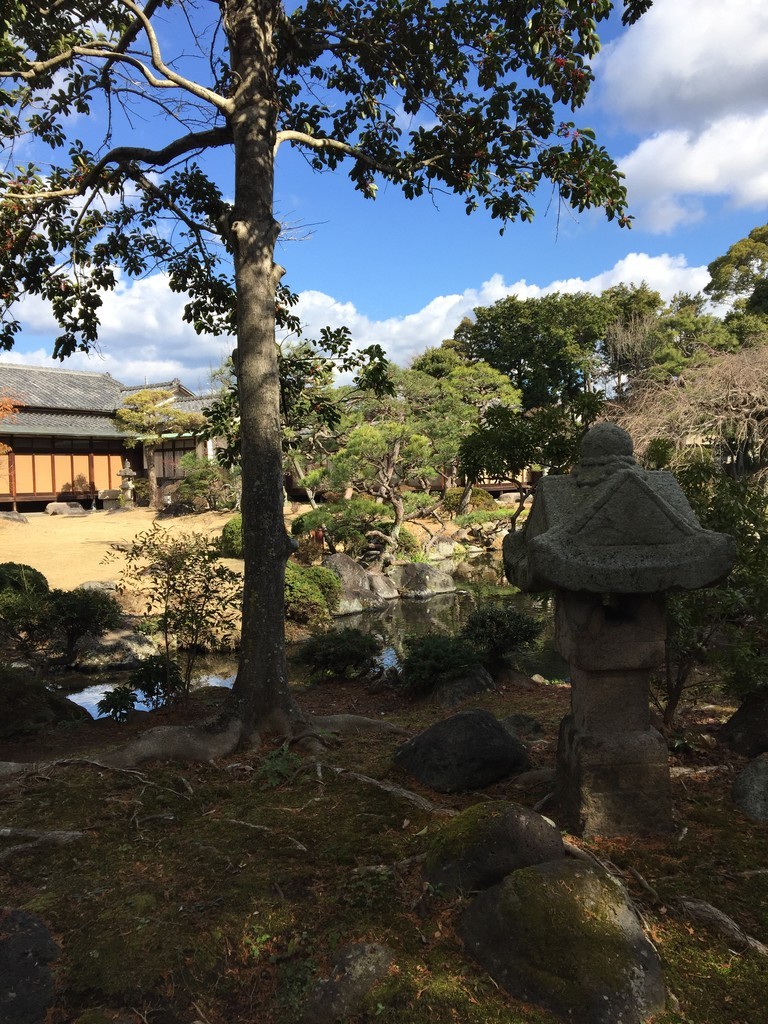 f:id:harei:20190118112608j:plain f:id:harei:20190118112608j:plain