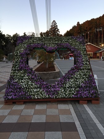f:id:harei:20190118165447j:plain f:id:harei:20190118165447j:plain