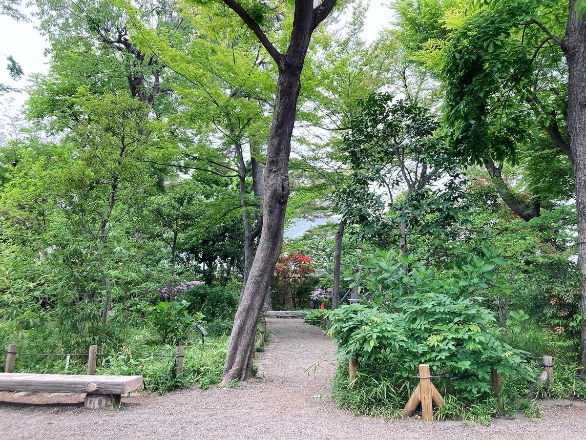 牧野記念庭園の中