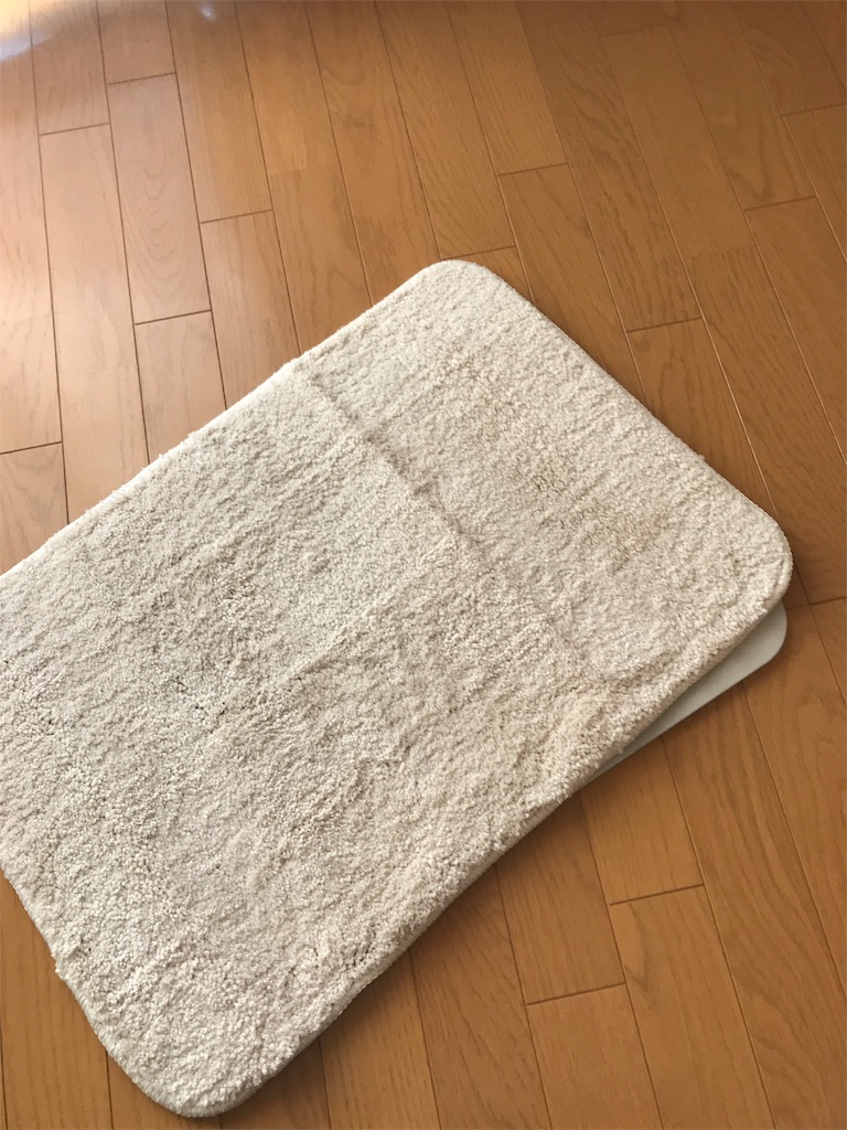 f:id:harenohisan:20171124122452j:image