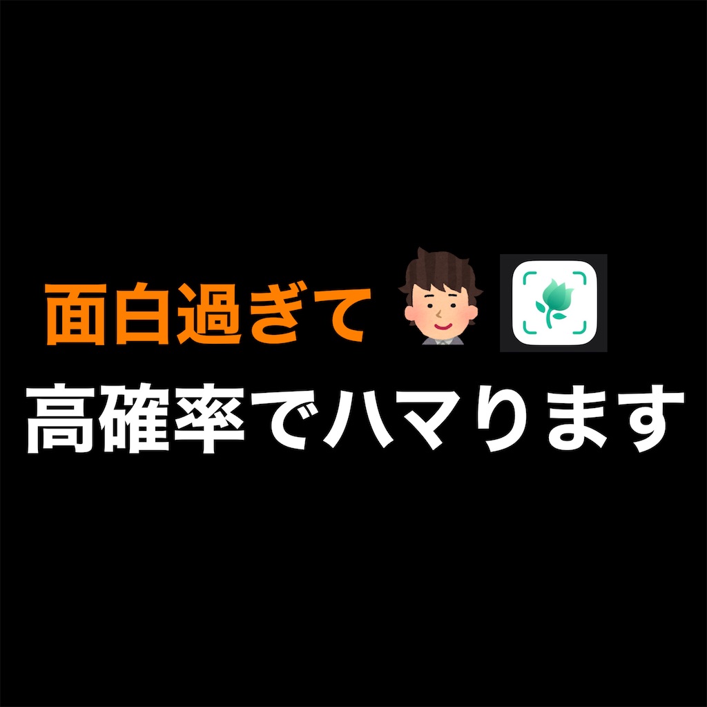 f:id:hareoku:20240221104620j:image