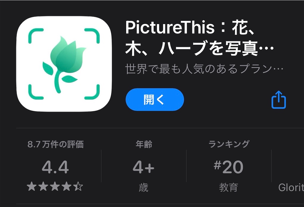 f:id:hareoku:20240221104714j:image