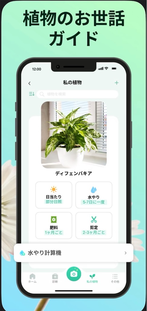 f:id:hareoku:20240221123507j:image