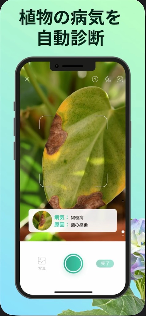 f:id:hareoku:20240221123510j:image