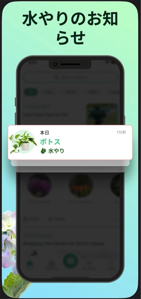 f:id:hareoku:20240221123513j:image