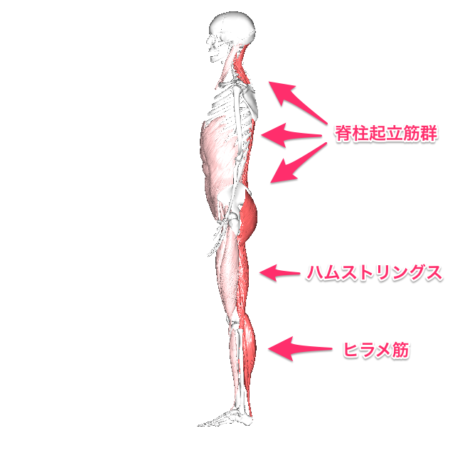 f:id:harerumrok:20180528131444p:plain