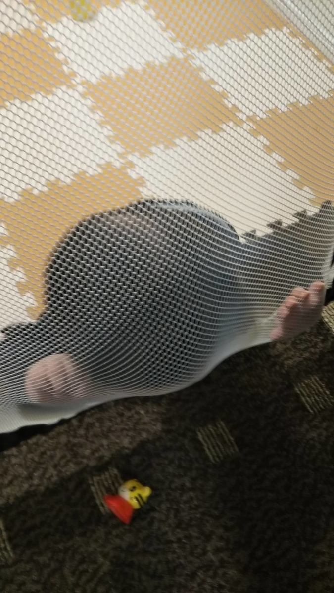 f:id:hareruyatan:20190429231936j:plain f:id:hareruyatan:20190429231936j:plain