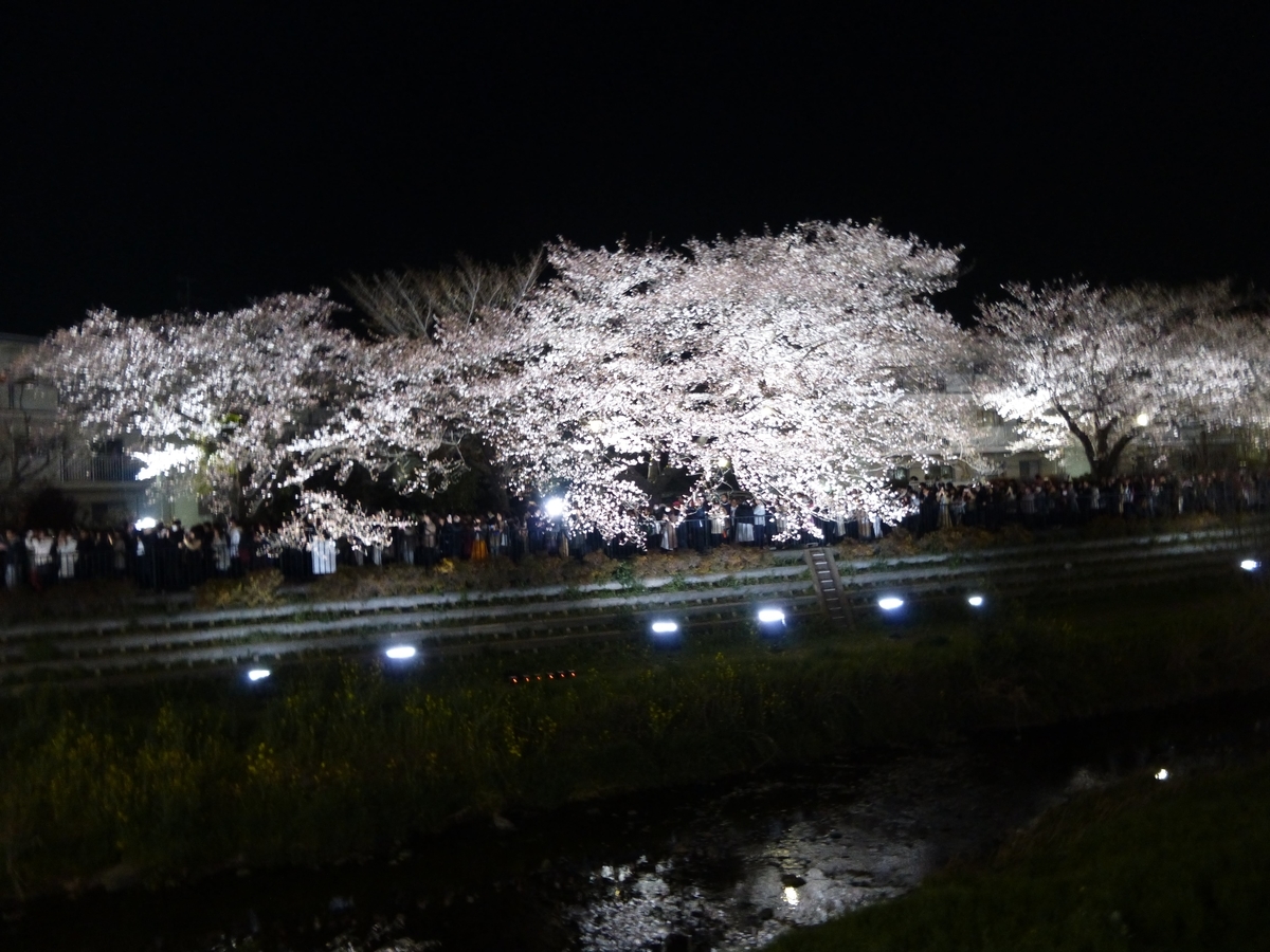 f:id:hareruyatan:20190429232622j:plain f:id:hareruyatan:20190429232622j:plain