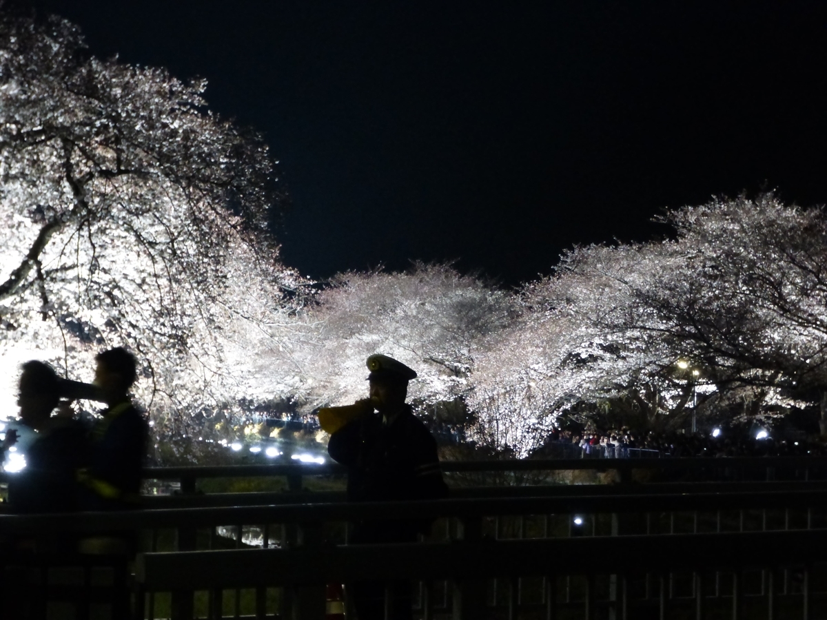 f:id:hareruyatan:20190429232749j:plain f:id:hareruyatan:20190429232749j:plain