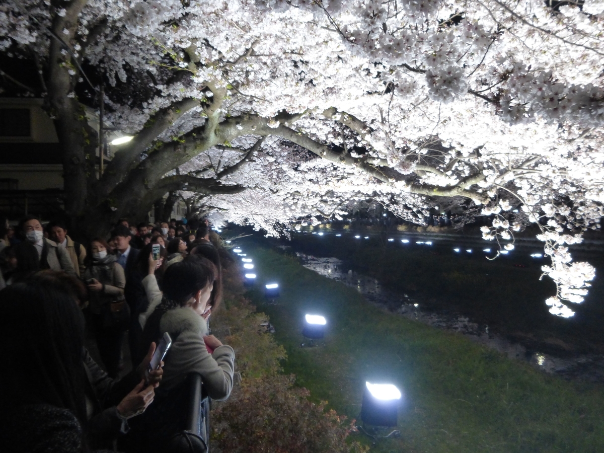 f:id:hareruyatan:20190429232826j:plain f:id:hareruyatan:20190429232826j:plain