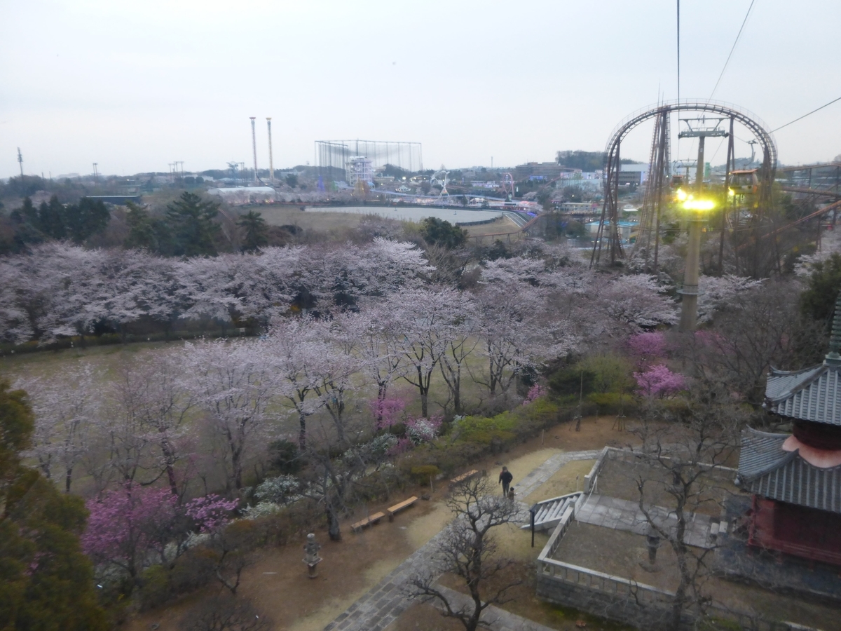 f:id:hareruyatan:20190501080712j:plain f:id:hareruyatan:20190501080712j:plain