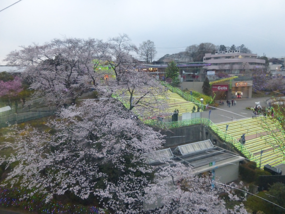 f:id:hareruyatan:20190501080734j:plain f:id:hareruyatan:20190501080734j:plain