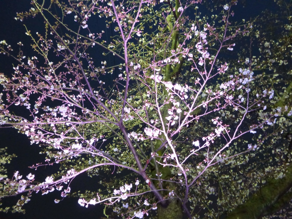 f:id:hareruyatan:20190501081011j:plain f:id:hareruyatan:20190501081011j:plain