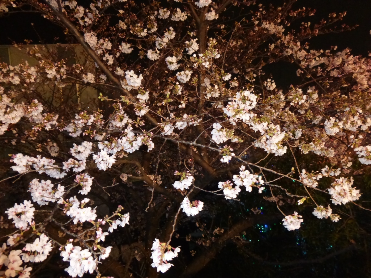 f:id:hareruyatan:20190501081134j:plain f:id:hareruyatan:20190501081134j:plain