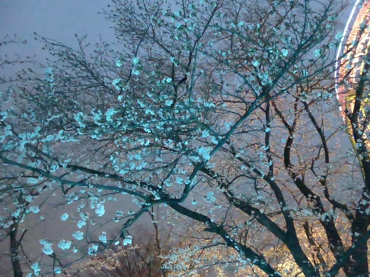 f:id:hareruyatan:20190501081228j:plain f:id:hareruyatan:20190501081228j:plain