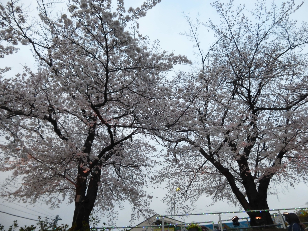 f:id:hareruyatan:20190501081606j:plain f:id:hareruyatan:20190501081606j:plain