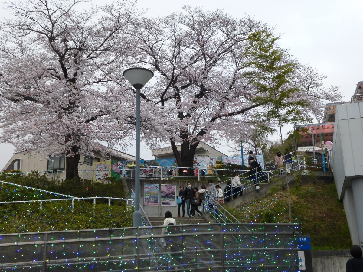 f:id:hareruyatan:20190501081628j:plain f:id:hareruyatan:20190501081628j:plain