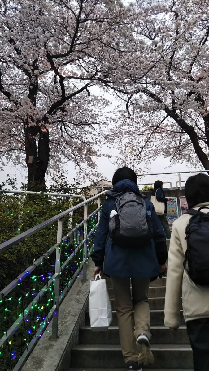 f:id:hareruyatan:20190501082237j:plain f:id:hareruyatan:20190501082237j:plain