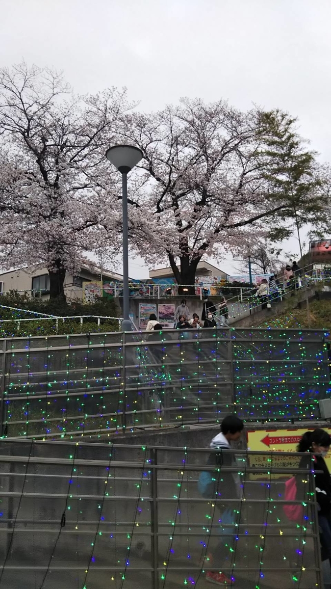 f:id:hareruyatan:20190501082250j:plain f:id:hareruyatan:20190501082250j:plain