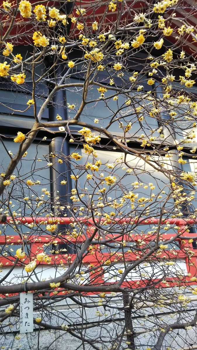 f:id:hareruyatan:20190501084057j:plain f:id:hareruyatan:20190501084057j:plain