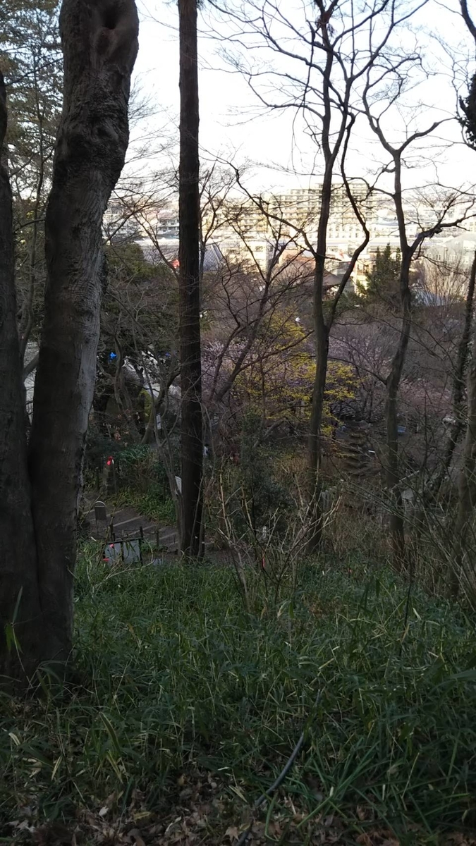 f:id:hareruyatan:20190501084145j:plain f:id:hareruyatan:20190501084145j:plain