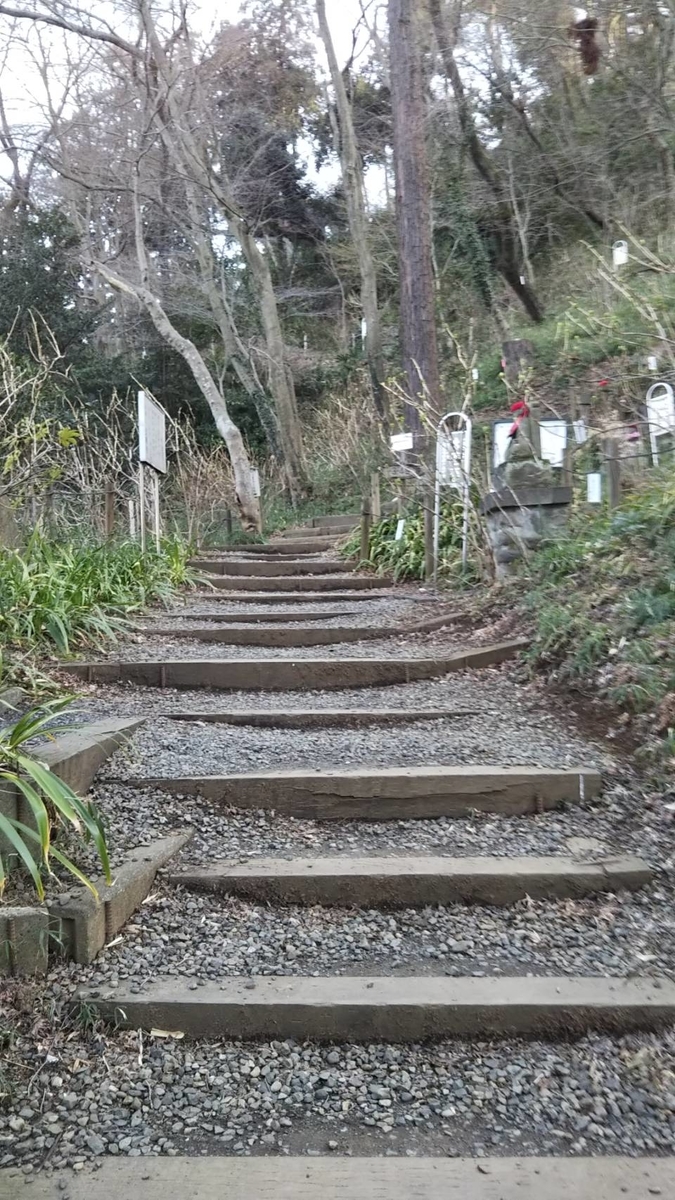 f:id:hareruyatan:20190501084155j:plain f:id:hareruyatan:20190501084155j:plain