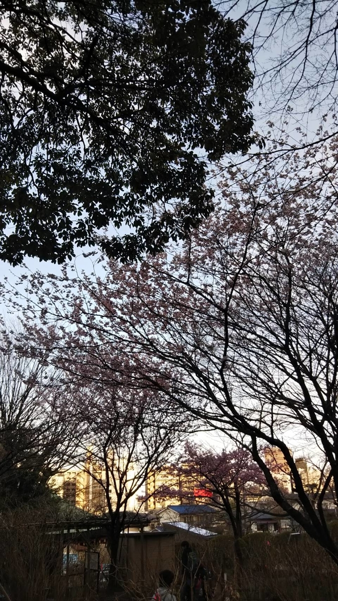 f:id:hareruyatan:20190501084206j:plain f:id:hareruyatan:20190501084206j:plain