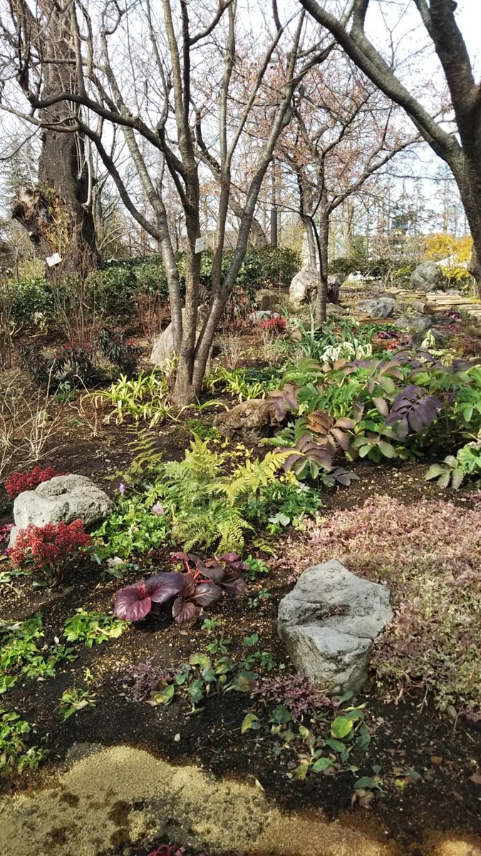 f:id:hareruyatan:20190501151534j:plain f:id:hareruyatan:20190501151534j:plain