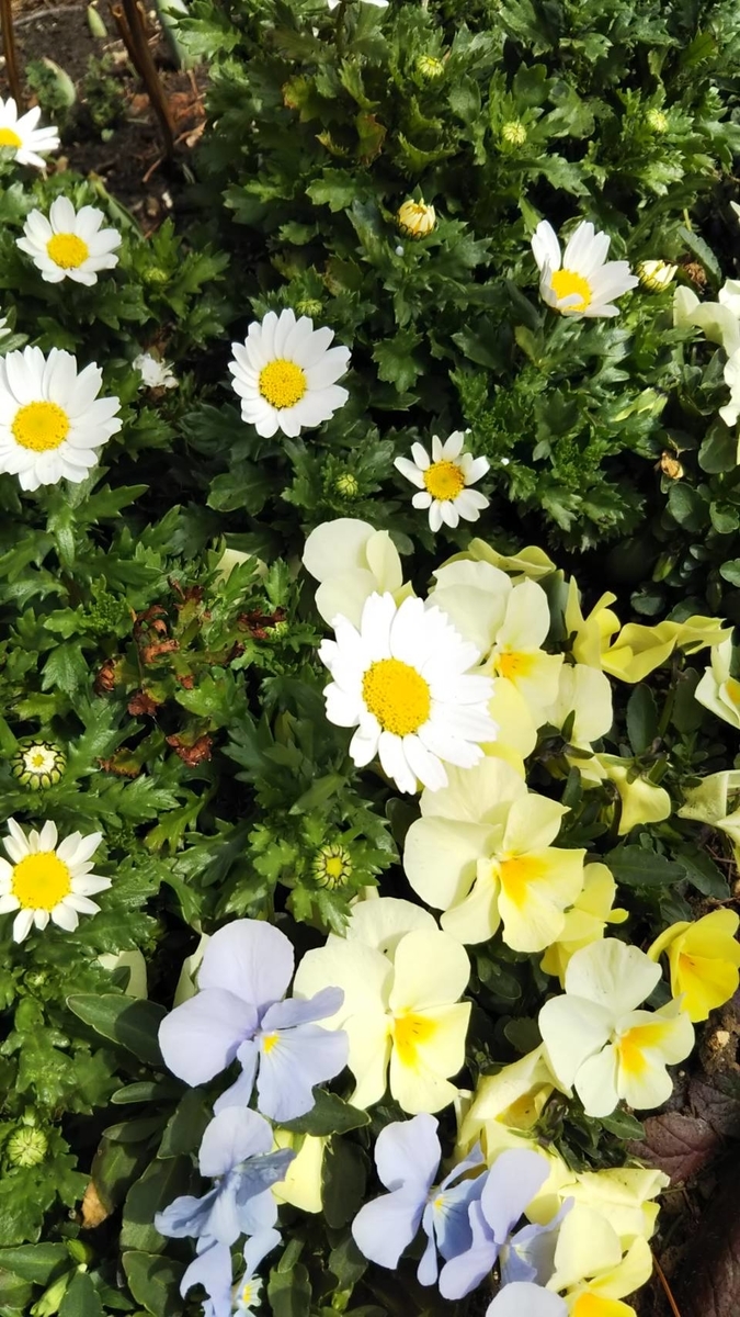 f:id:hareruyatan:20190501151546j:plain f:id:hareruyatan:20190501151546j:plain
