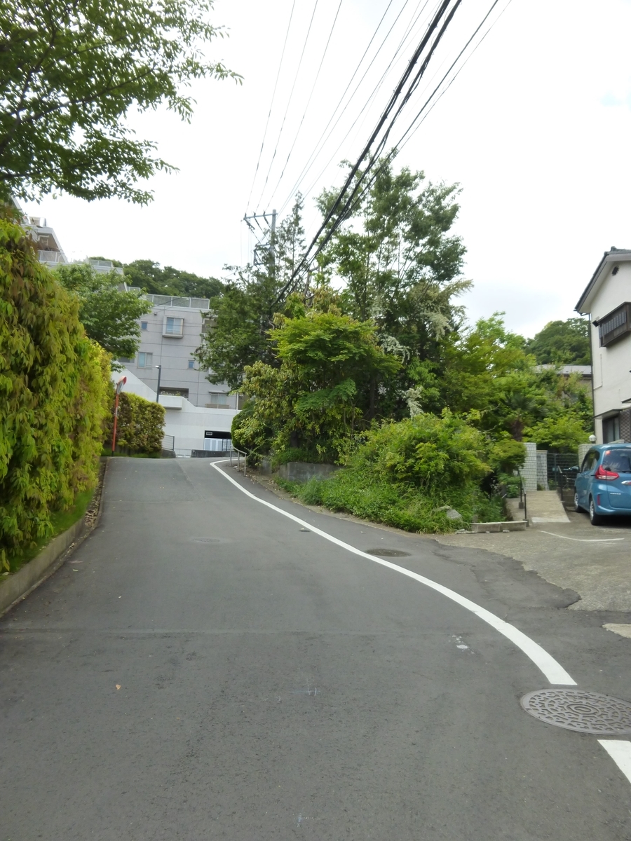 f:id:hareruyatan:20190526092905j:plain f:id:hareruyatan:20190526092905j:plain