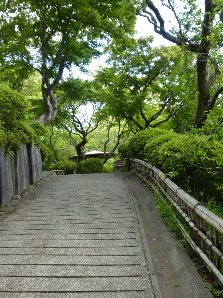 f:id:hareruyatan:20190526100533j:plain f:id:hareruyatan:20190526100533j:plain