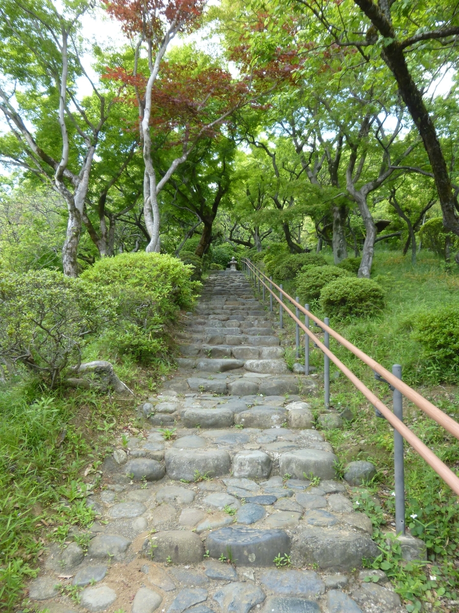 f:id:hareruyatan:20190526100544j:plain f:id:hareruyatan:20190526100544j:plain