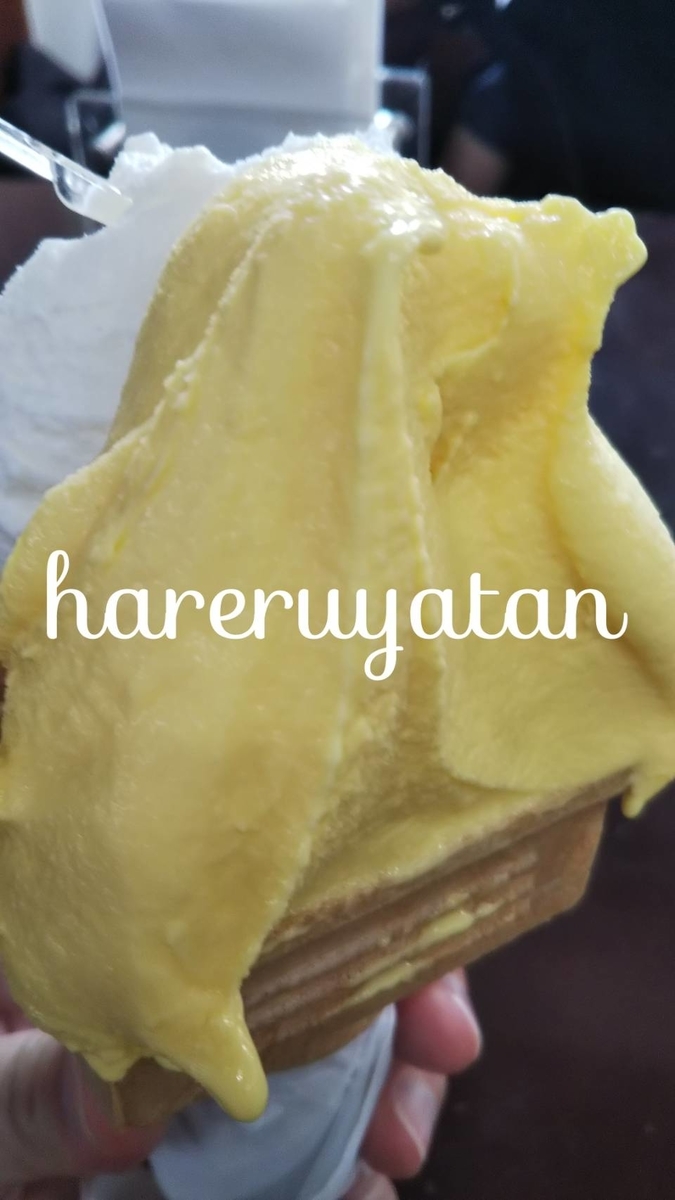 f:id:hareruyatan:20190526123949j:plain f:id:hareruyatan:20190526123949j:plain