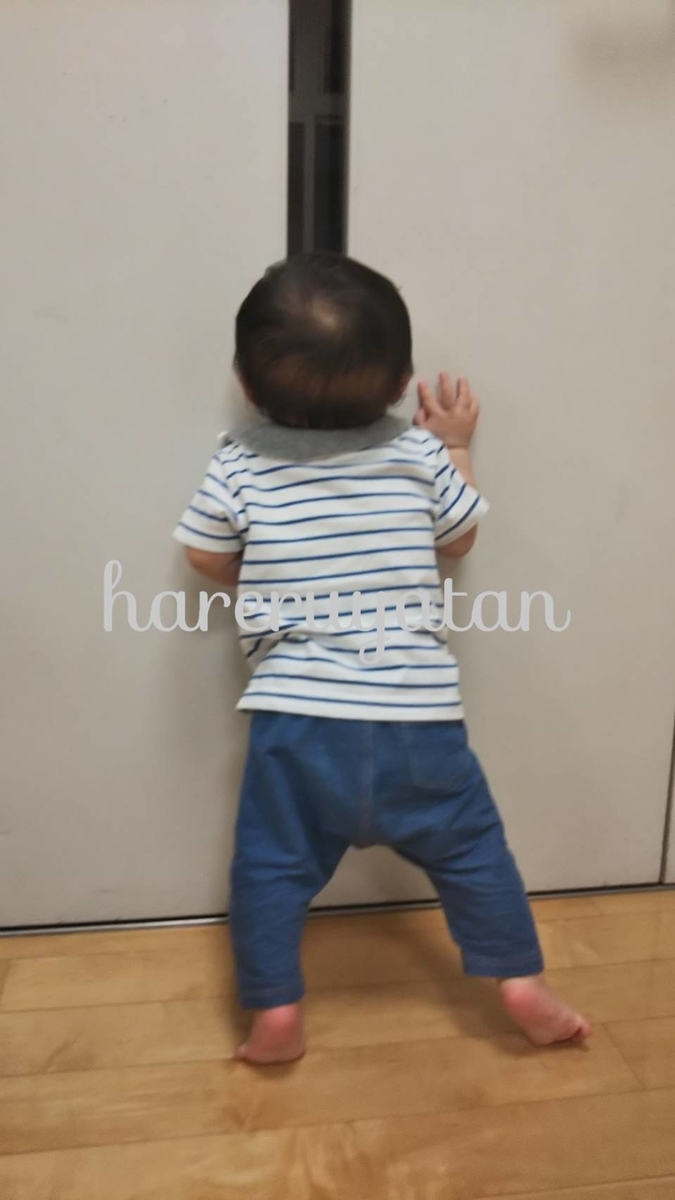 f:id:hareruyatan:20190609122600j:plain f:id:hareruyatan:20190609122600j:plain