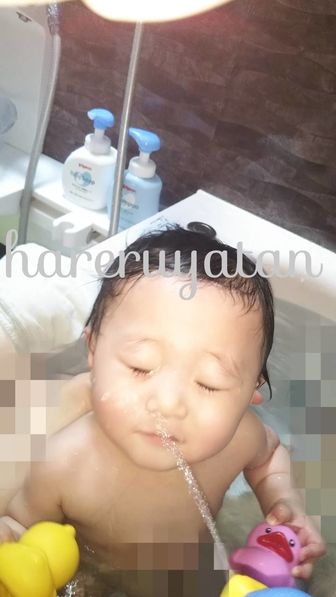 f:id:hareruyatan:20190615190244j:plain f:id:hareruyatan:20190615190244j:plain