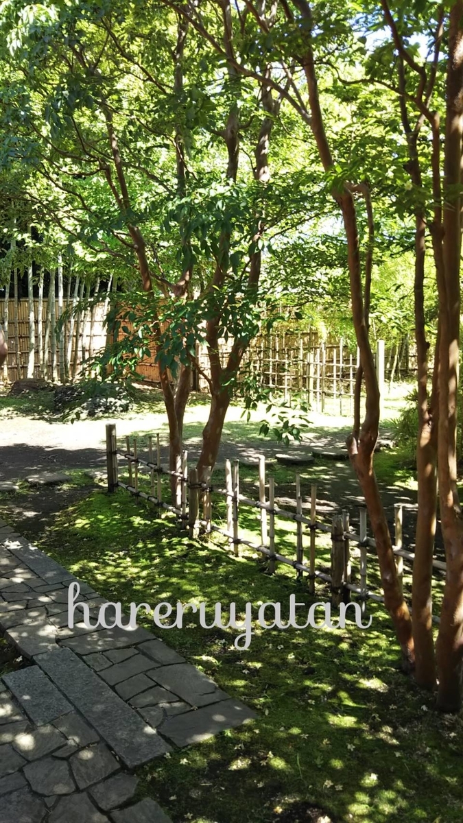 f:id:hareruyatan:20190623123438j:plain f:id:hareruyatan:20190623123438j:plain