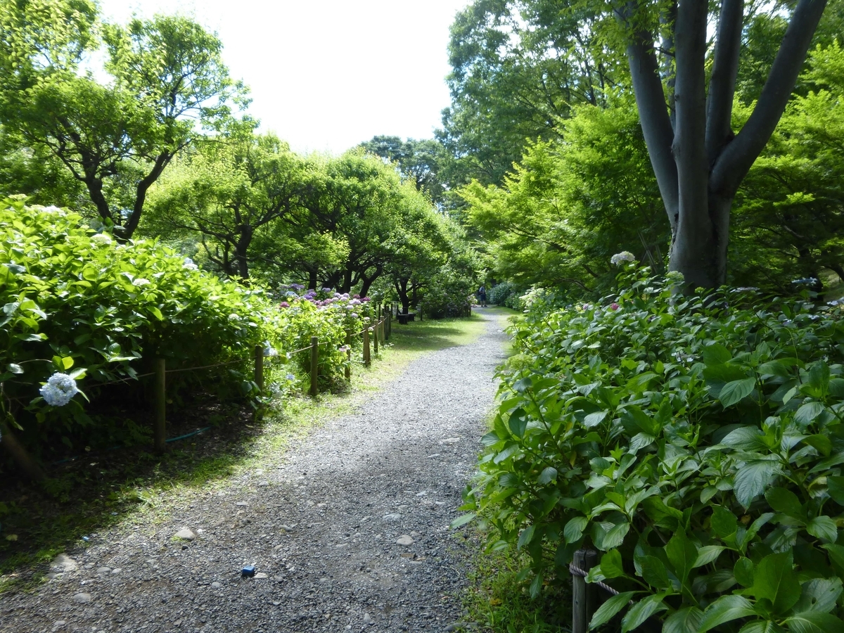f:id:hareruyatan:20190623131748j:plain f:id:hareruyatan:20190623131748j:plain