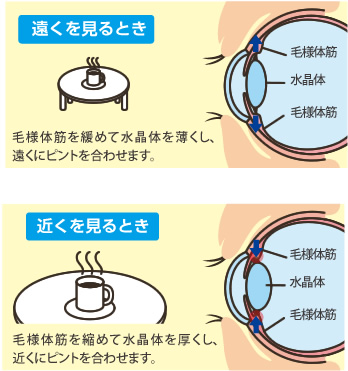 f:id:hareruyatan:20190625004502j:plain