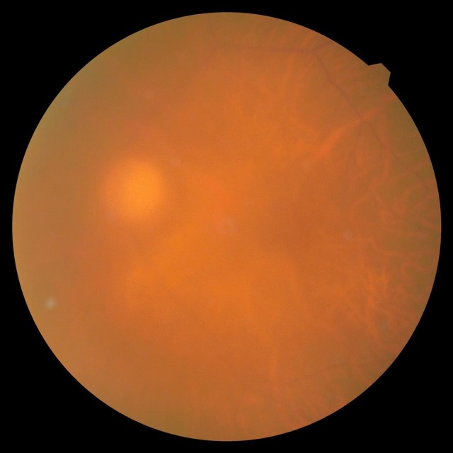 f:id:hareruyatan:20190723104135j:plain f:id:hareruyatan:20190723104135j:plain