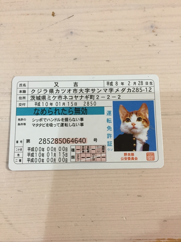 なめ猫 小さな幸せブログ