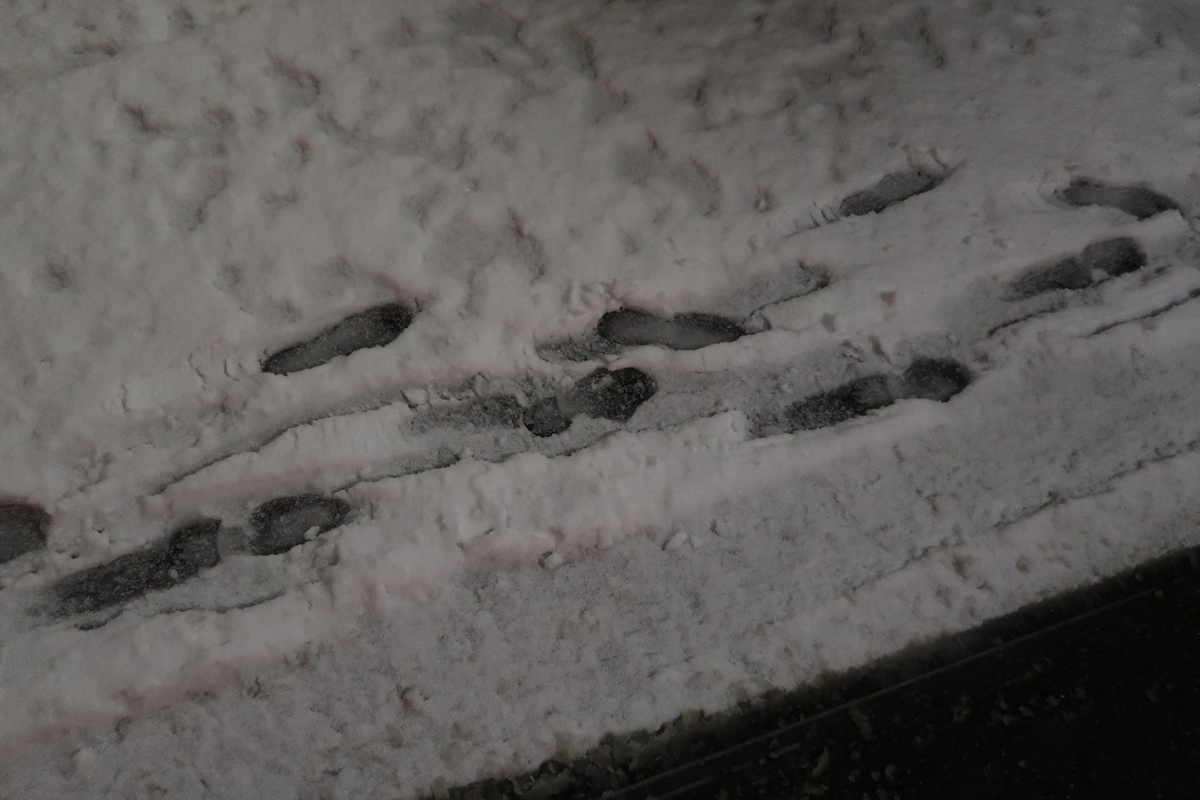 f:id:haretaraiinaa:20220108215635j:plain