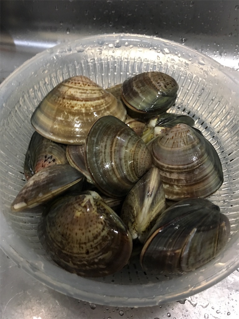f:id:haretarasake:20190403100932j:image f:id:haretarasake:20190403100932j:image